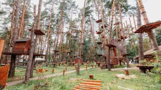 Тарзан парк